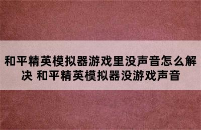 和平精英模拟器游戏里没声音怎么解决 和平精英模拟器没游戏声音